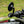 Brogue Moto 3