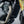 Load image into Gallery viewer, Triumph Scrambler 400 Radiator Guard
