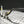 ProTaper EVO Windham/RM Mid Handlebar - Black