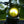 Load image into Gallery viewer, Brogue Moto Retro Inspired Triumph Modern Classic 7&quot; LED Headlight Kit - 2016+ Thruxton - Scrambler - Bonneville T100 - T120 - Speed Twin - Street Twin
