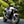Brogue Moto 3