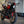 Triumph Trident 800 & 660 Front Radiator Guard 2026+