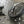 Ducati Scrambler Gauge Relocation + Handlebar kit + Ignition Relocation Kit + 7