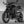Street Triple 765 - Brogue Collective - 7