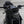 Street Triple 765 - Brogue Collective - 7