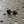 Triumph Bar End Finishers & Mirror Kits - 7/8” Handlebar Triumph Models