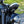 Triumph Trident 660 Gauge Cover Finisher
